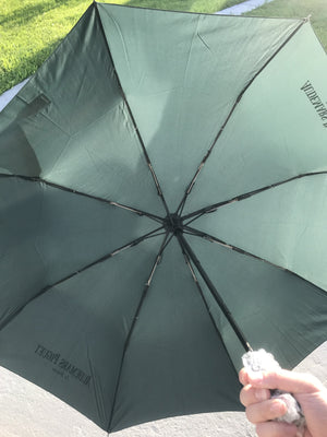 Audemars Piguet Umbrella Green Rain Inside Picture